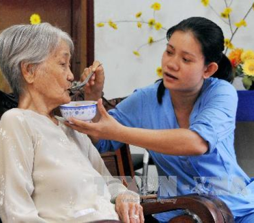 Em Cần Cô Chăm Bà Tai Biến